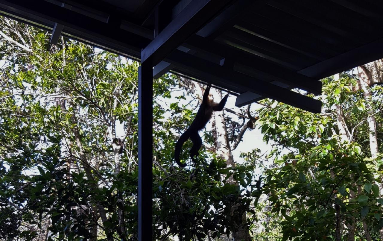 Above The Gulf, Vacation House Monteverde 外观 照片